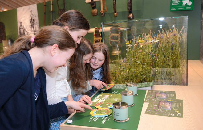 Museums-Safari Stadtmuseum Kaufbeuren